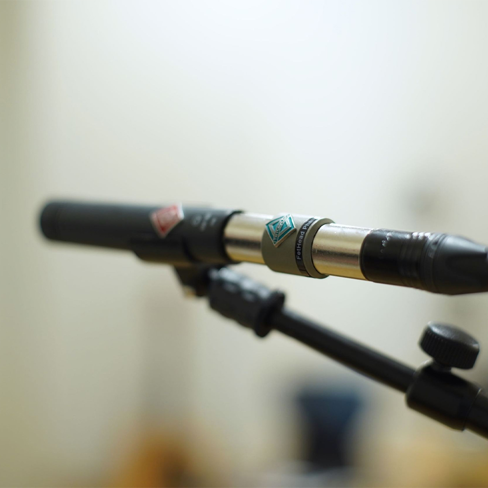 Triton Audio FetHead Phantom 電容麥克風前級| SV音樂商城